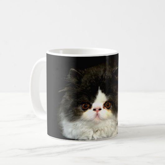可愛い白黒子猫ラグドール写真 コーヒーマグカップ (正面左)