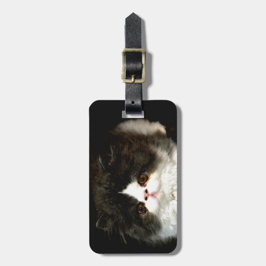 可愛い白黒子猫ラグドール写真 ラゲッジタグ (正面縦)