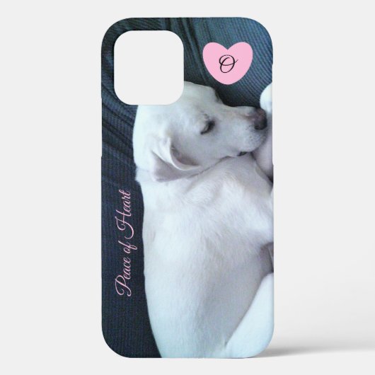 可愛い眠れる犬とハート・モノグラムの写真 Case-Mate iPhoneケース (裏面)