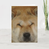 可愛い秋田おもしろい大愛顔写真 カード (正面)