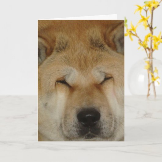 可愛い秋田おもしろい大愛顔写真 カード (黄色い花)