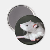 可愛い絵画ネズミ マグネット (正面/裏面)