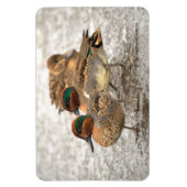 可愛い緑の羽の付いたティール（緑がかった色） マグネット (縦)