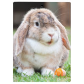 可愛い耳の垂れたウサギ クリップボード (裏面)