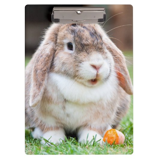 可愛い耳の垂れたウサギ クリップボード (正面)