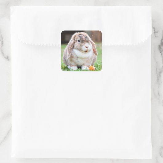 可愛い耳の垂れたウサギ スクエアシール (バッグ)