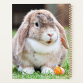 可愛い耳の垂れたウサギ プランナー手帳 (裏面)