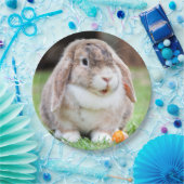 可愛い耳の垂れたウサギ ペーパープレート (パーティー)