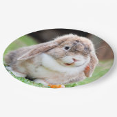 可愛い耳の垂れたウサギ ペーパープレート (アングル)