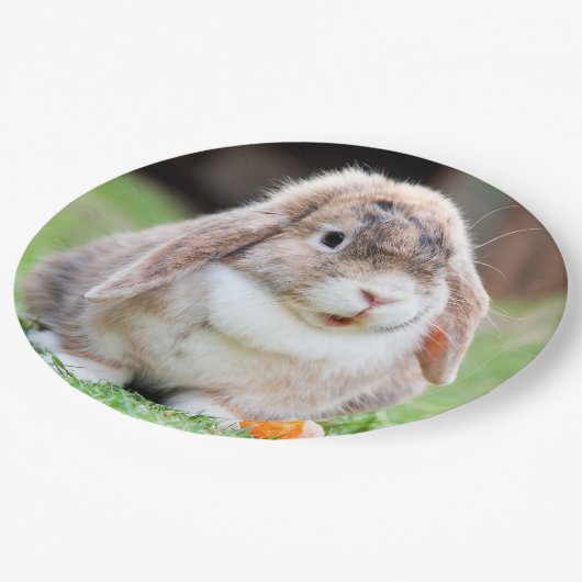 可愛い耳の垂れたウサギ ペーパープレート (アングル)