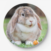 可愛い耳の垂れたウサギ ペーパープレート (正面)