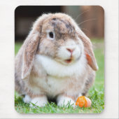 可愛い耳の垂れたウサギ マウスパッド (正面)