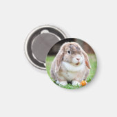 可愛い耳の垂れたウサギ マグネット (正面/裏面)