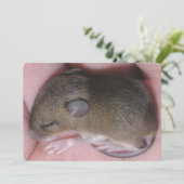 可愛い耳を持つ小さなベビーマウスが巻き上げて眠る 招待状 (スタンド正面)