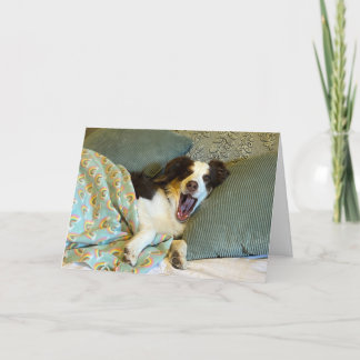 可愛い良いカード、犬の写真 サンキューカード