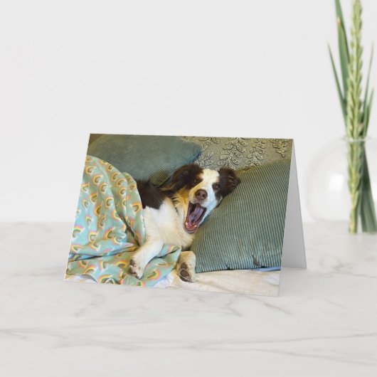 可愛い良いカード、犬の写真 サンキューカード (正面)