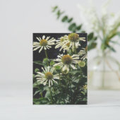 可愛い花たち ポストカード (スタンド正面)