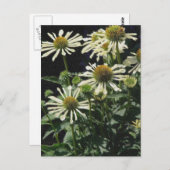 可愛い花たち ポストカード (正面/裏面)