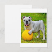 可愛い英語ブルドッグバスケットボールブルドッグラバーギフト 出欠カード (正面/裏面)