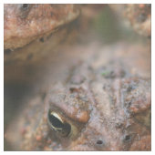 可愛い茶色のヒキガエル顔動物模様 ファブリック (クローズアップ)