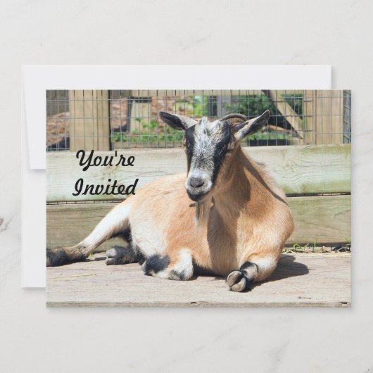 可愛い茶色のヤギ睡眠写真誕生日 招待状 (正面)
