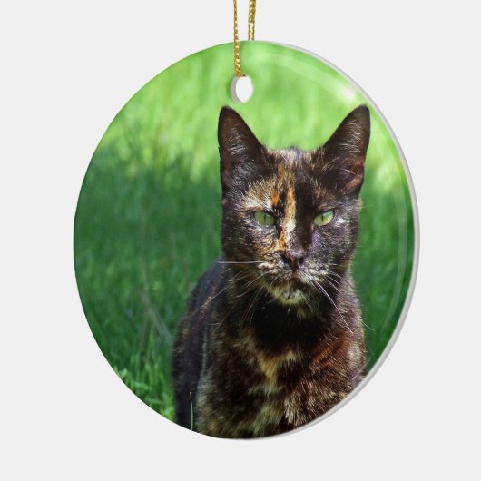 可愛い茶色の亀甲猫の写真 セラミックオーナメント (左)