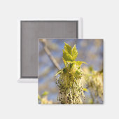 可愛い葉春写真 マグネット (正面/裏面)