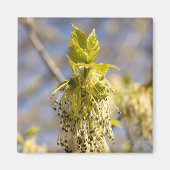 可愛い葉春写真 マグネット (正面)