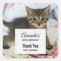 可愛い虎猫子猫ルッキング驚いた誕生日