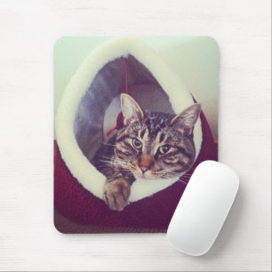 可愛い虎猫子猫Hut Photo 70sフィルター効果 マウスパッド