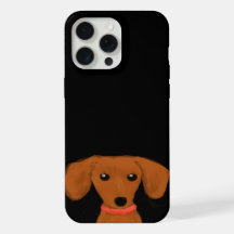 可愛い覗きダシュント | Wiener Dog Puppy Doxie