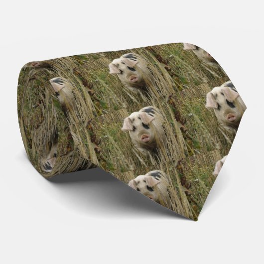 可愛い豚ネクタイ ネクタイ (ロール)