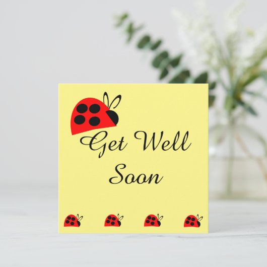 可愛い赤いテントウムシ (スタンド正面)