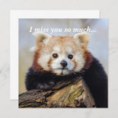 可愛い赤いパ恋しく思ンダ (正面/裏面)