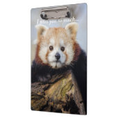 可愛い赤いパ恋しく思ンダ クリップボード (左)