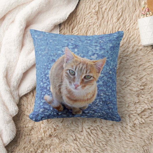 可愛い赤い子猫を青に クッション (ブランケット)