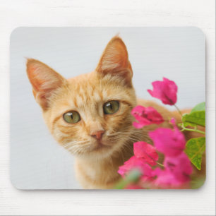 可愛い赤い虎猫の子猫が見てる。 マウスパッド