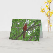 可愛い赤い(鳥)ショウジョウコウカンチョウイン空白のツリー カード (黄色い花)
