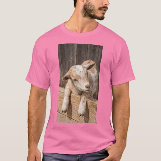 可愛い赤ちゃんヤギの牧場風フォトグラフィーキャンバス Tシャツ (正面)