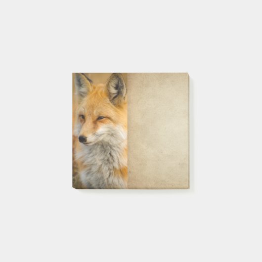 可愛い赤キツネワイルダネス自然撮影後 ポストイット (正面)