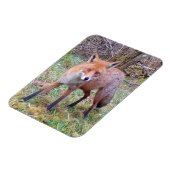 可愛い赤キツネ縦フレキシフォトマグネット マグネット (左側)