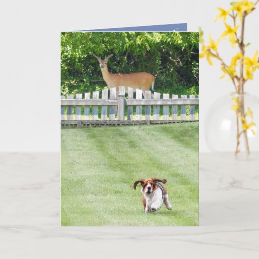 可愛い走バースデーカードに乗ったのバーセット&ディアー カード (黄色い花)