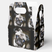 可愛い青い目のパグブラック フェイバーボックス (オープン)