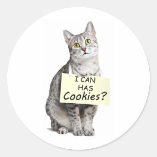 可愛い頼猫がクッキー？ ラウンドシール