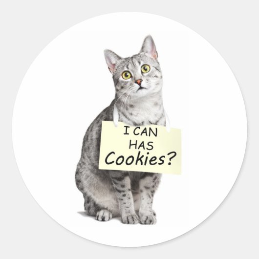 可愛い頼猫がクッキー？ ラウンドシール (正面)