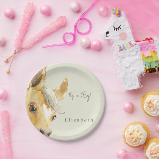 可愛い馬男の子のシャワー ペーパープレート (パーティー)