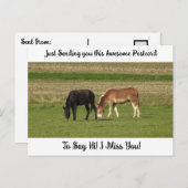 可愛い馬"私恋しく思よ"ことわざハイポストカード ポストカード (正面/裏面)