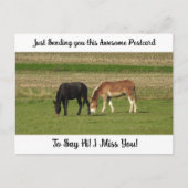 可愛い馬"私恋しく思よ"ことわざハイポストカード ポストカード (正面)