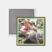 可愛い髭の竜あくびする静か反乱軍の叫び マグネット (正面/裏面)