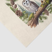 可愛い鳥好きが切り離す 薄葉紙 (詳細)